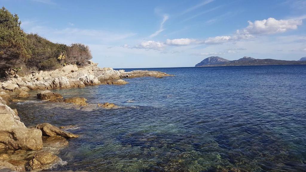 Appartamento A Porto Rotondo - Villaggio Punta Volpe - Iun S5393 Экстерьер фото