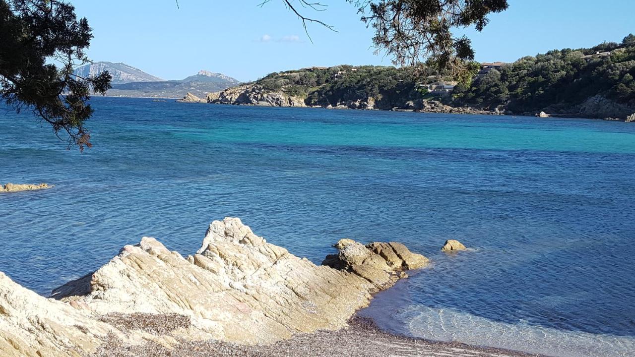 Appartamento A Porto Rotondo - Villaggio Punta Volpe - Iun S5393 Экстерьер фото